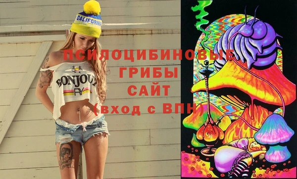 прущий лед Алексеевка