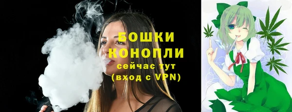 прущие грибы Бежецк