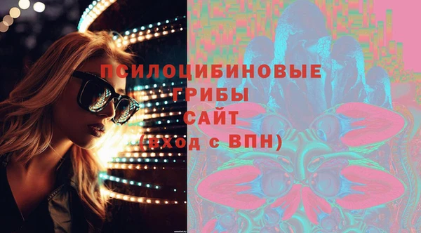 сатива Няндома